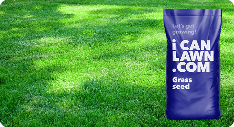 Shade Supreme Lawn Grass Seed