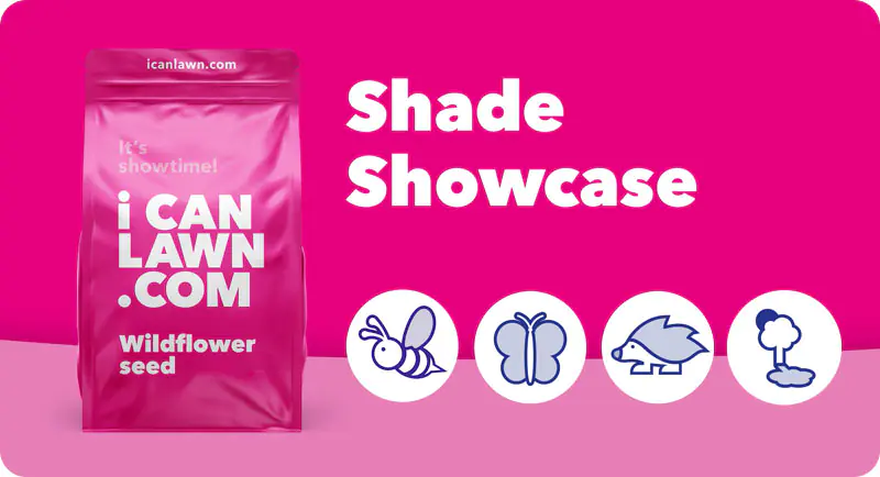 Pink product image of Shade Showcase wildflower seed