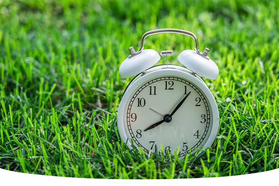 How long does it take for grass seed to grow?