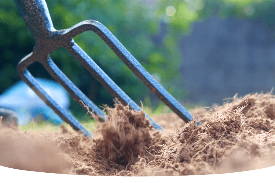 How to achieve the perfect seedbed for grass seed
