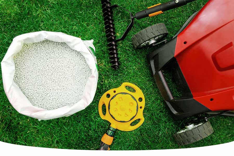 essentials for the summer lawn care guide