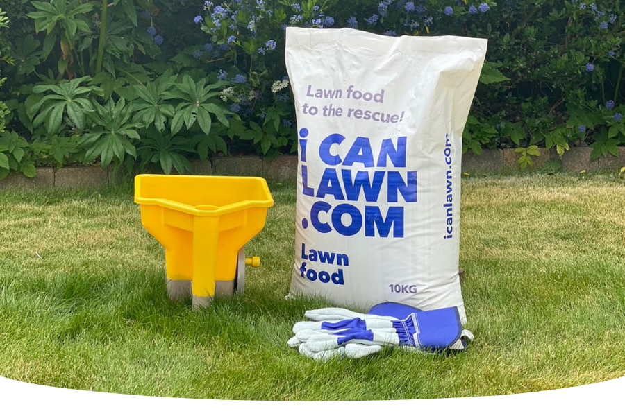 When can I feed my lawn again?