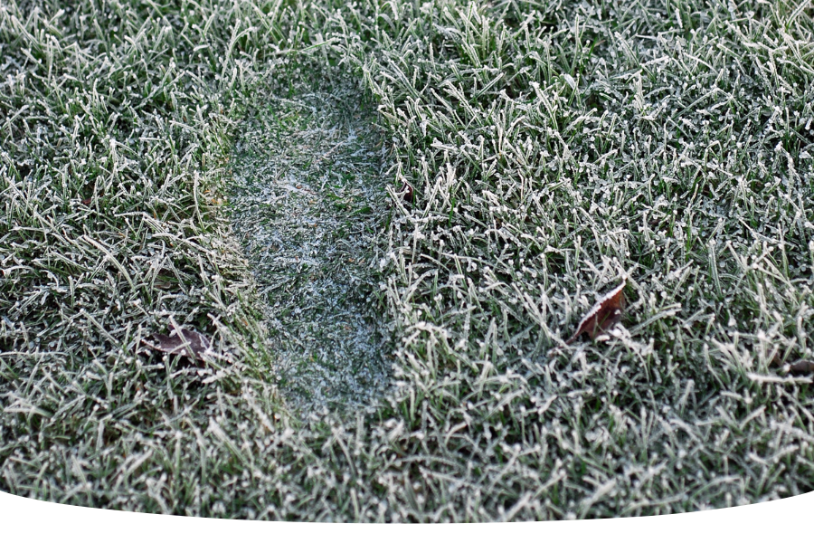 Winter lawn care footprint on frosty grass