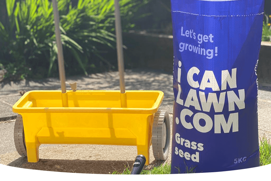 5 tips for overseeding your lawn