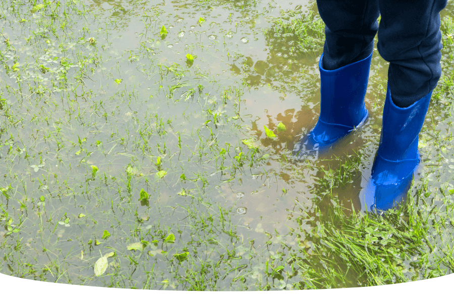 How to fix a waterlogged lawn