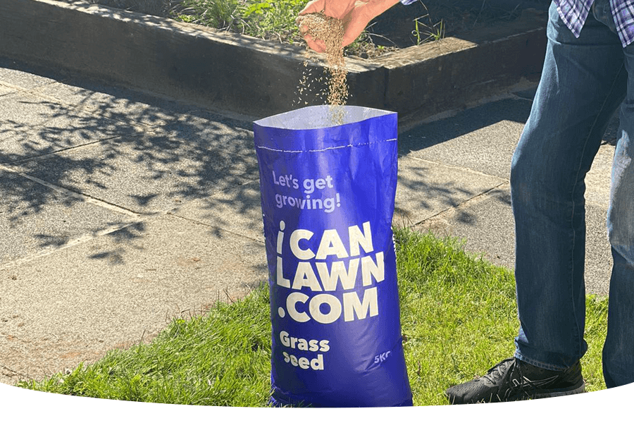 How to prepare a new lawn