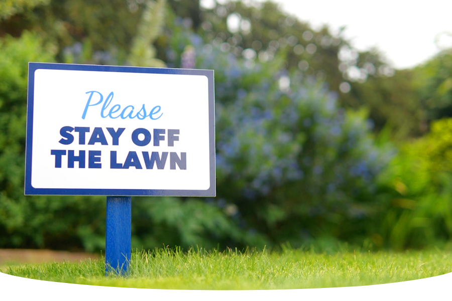 How to keep your lawn healthy