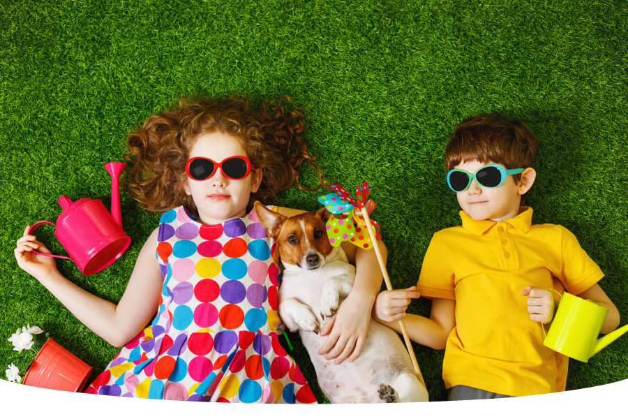 The best grass seed for kids and pets