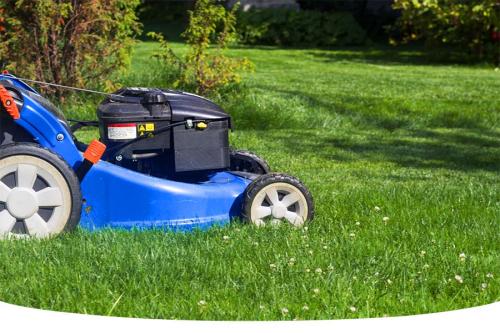 When to cut grass first time in spring UK
