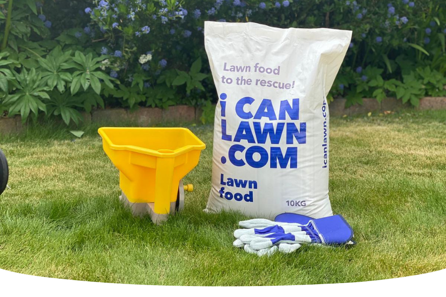 What should I feed my lawn in spring?