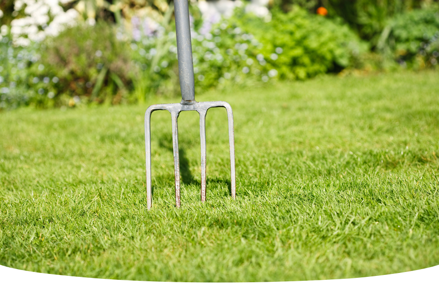 How to aerate a lawn