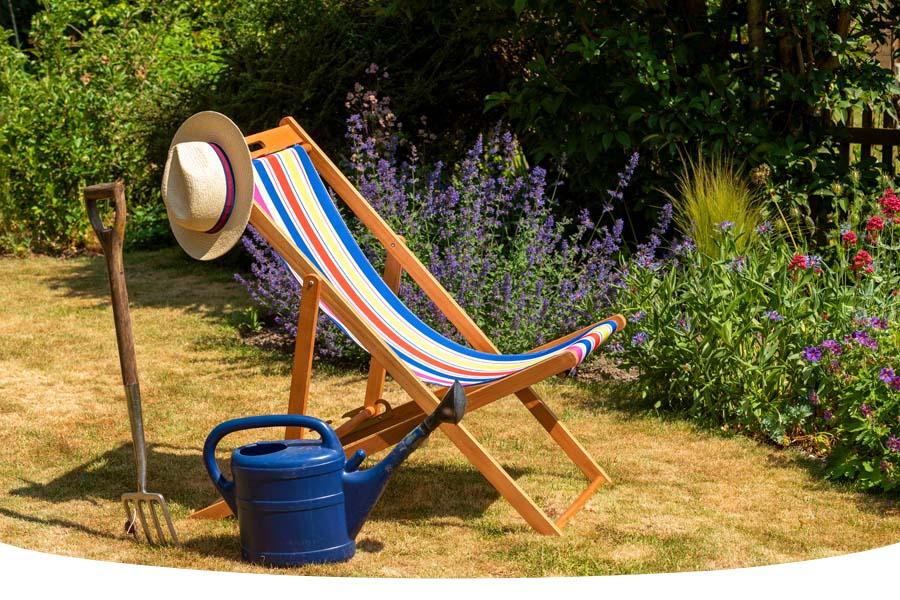 How to look after your lawn in a heatwave