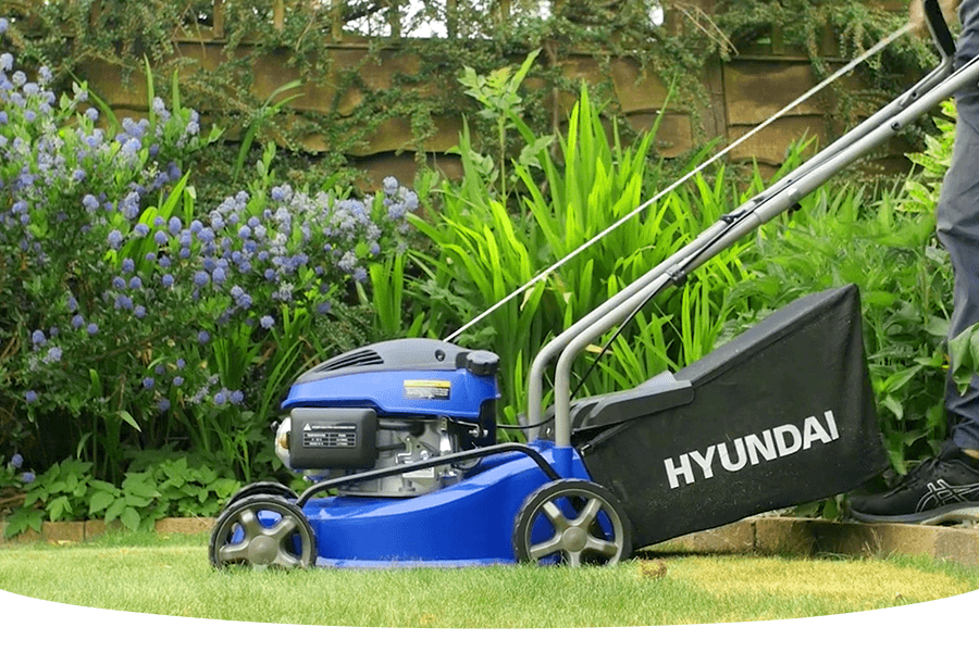 How often should I mow my lawn in summer?