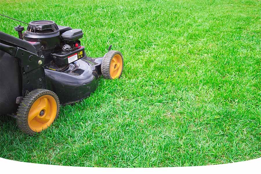 How to mow a lawn