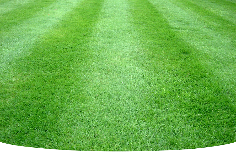 How to get stripes in your lawn